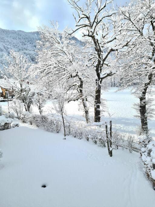 Appartement Le D12 ซาโมอ็องส์ ภายนอก รูปภาพ